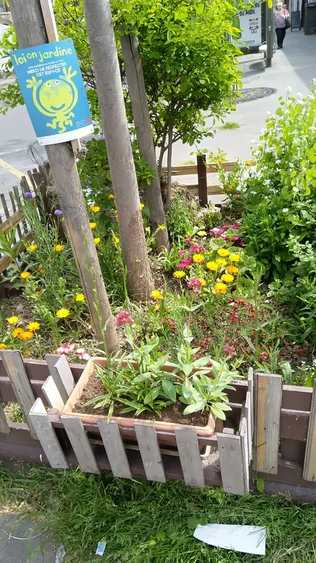 Espace de biodiversité et nature en ville