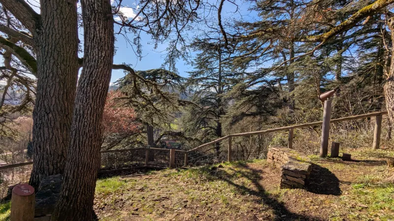 Paysage boisé pour une balade d'équipe