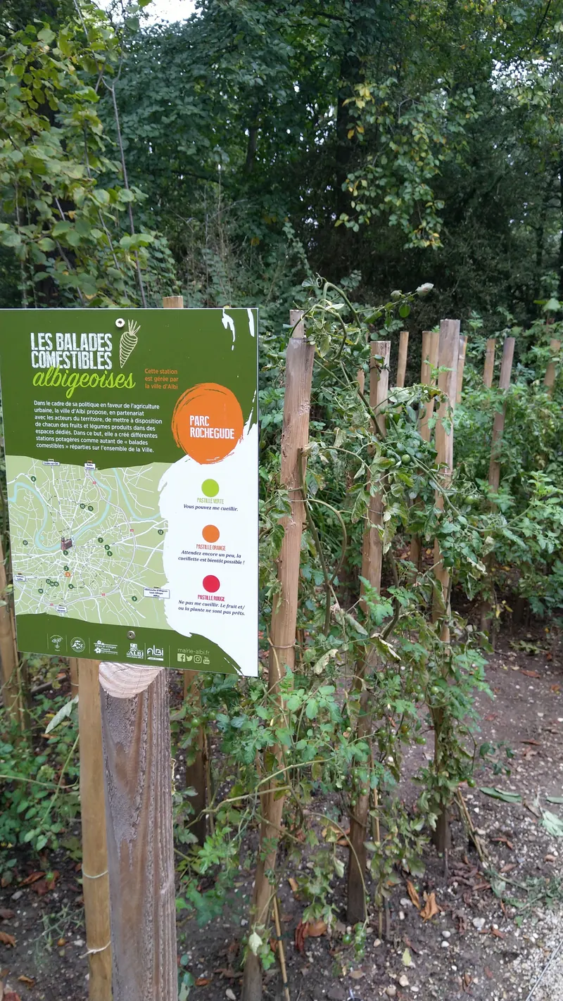 Panneau pédagogique de conception d'espaces comestibles en ville