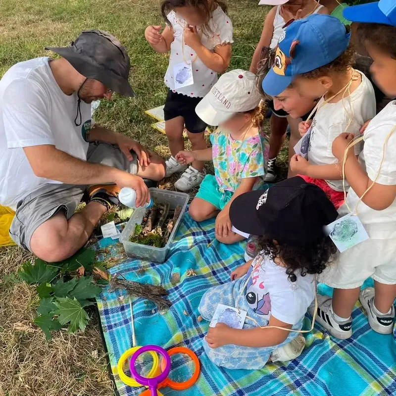 Un temps d'éveil à la nature avec des enfants, matières naturelles