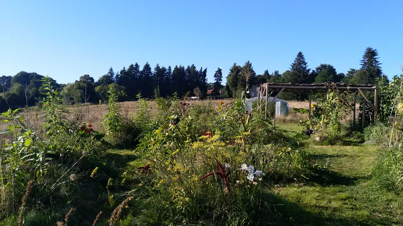 Jardin vivant avec serre et pergola, massifs fleuris