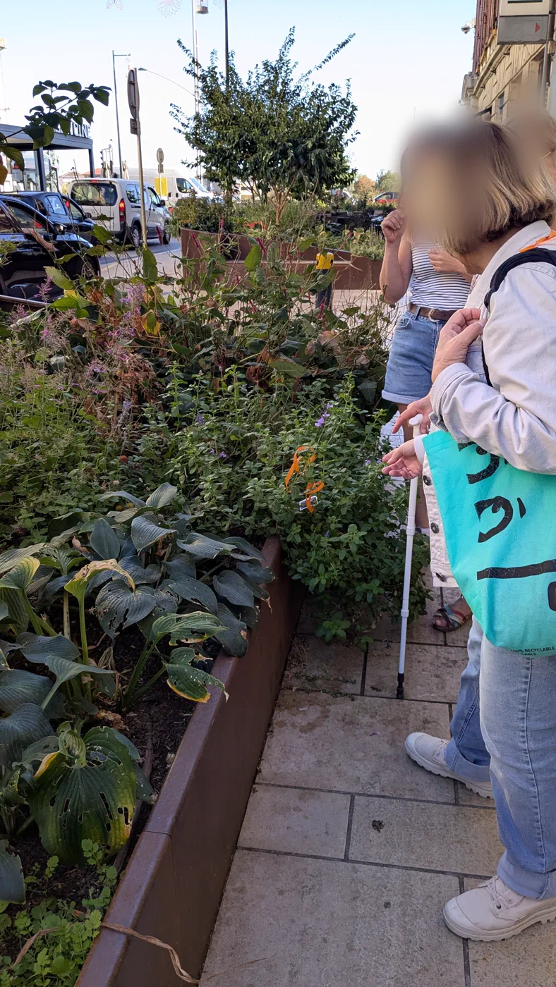 Participants observant des jardinières pendant une balade, visages floutés
