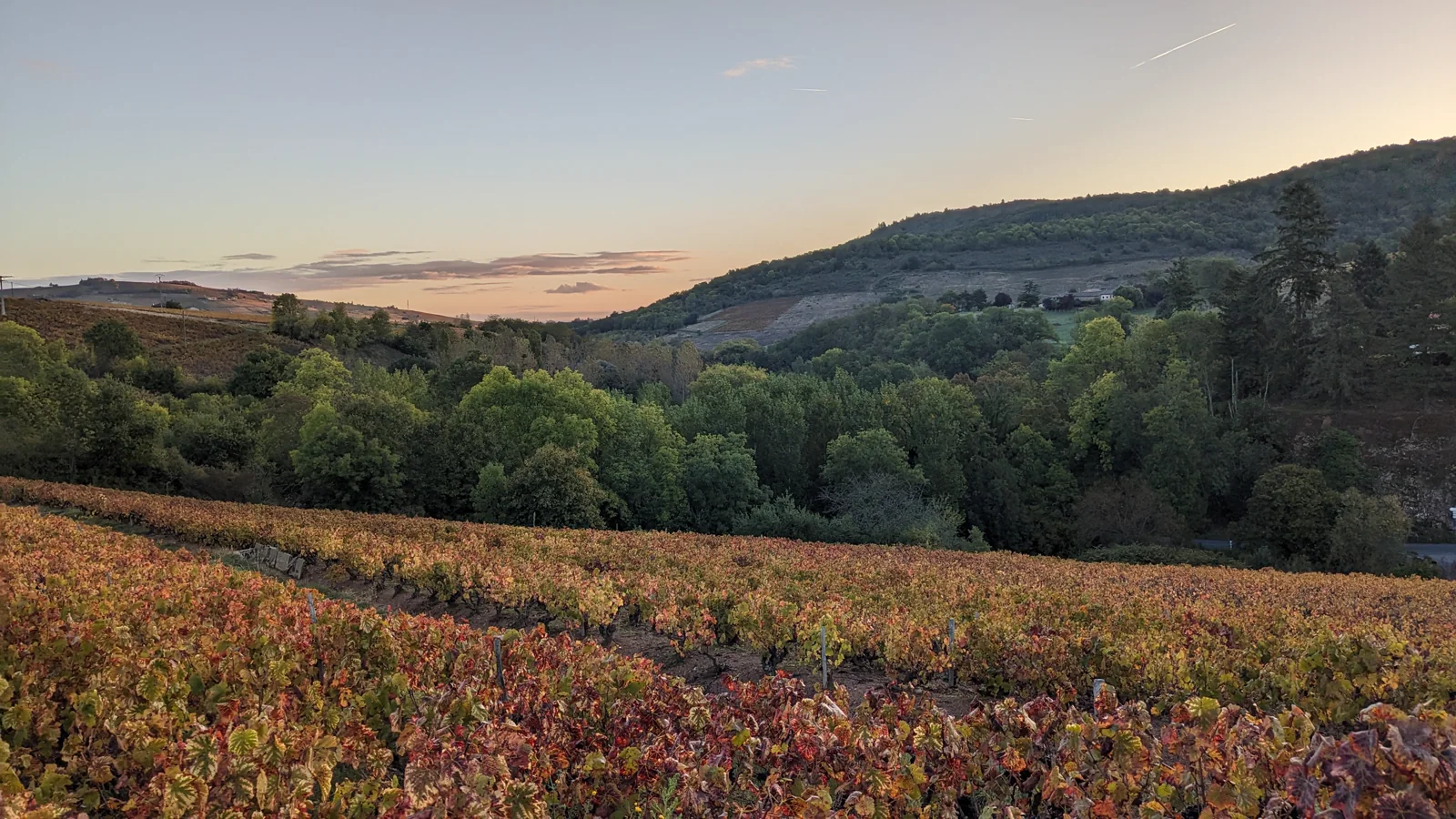 Vignes, bois et collines du Beaujolais au coucher du soleil